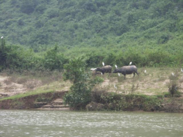 Urlaub in Vietnam 2007